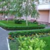 Услуга комплексный уход за территорией