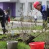 Услуга комплексный уход за территорией