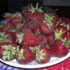 Клубника ЧЕРНЫЙ ПРИНЦ