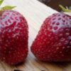 Клубника ЧЕРНЫЙ ПРИНЦ