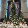НОВОГОДНЯЯ  Ель обыкновенная срезка