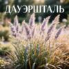 Молиния в сортах